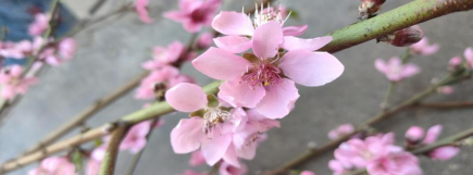 16486258556588.png 16486258556588.png