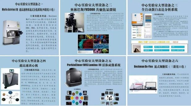 16668310859781.png 16668310859781.png