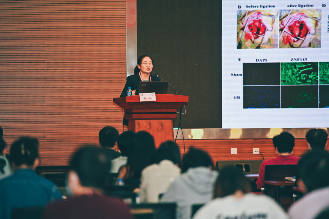 16668343944805.png 16668343944805.png