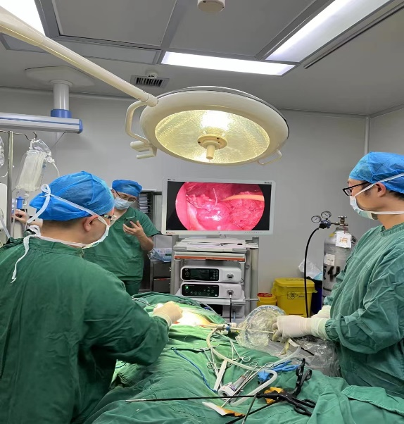 16672654186326.png 16672654186326.png