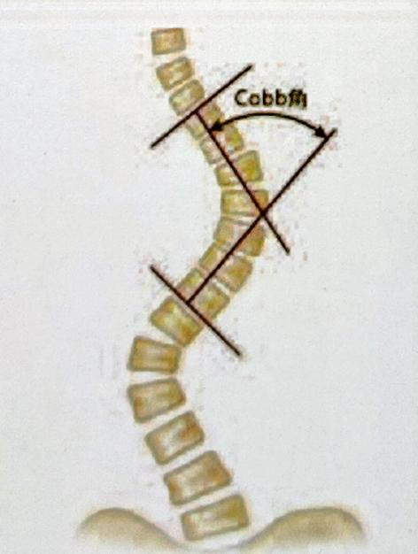 16681356388525.png 16681356388525.png