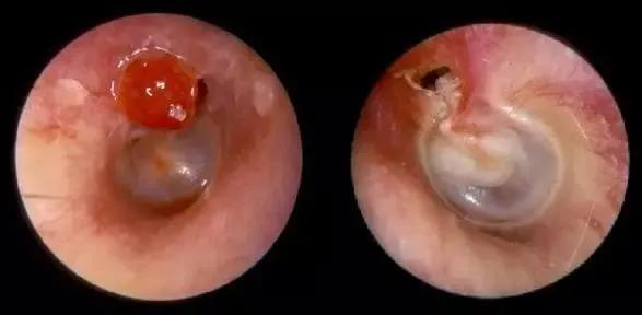 16683892358607.png 16683892358607.png