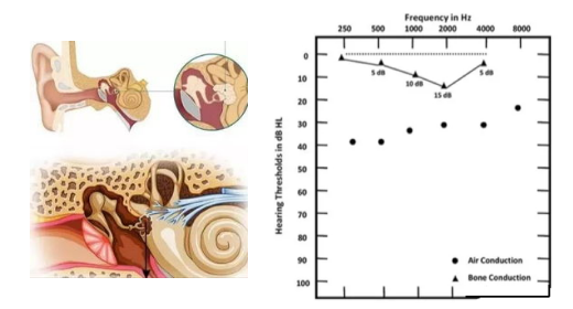 16683892893420.png 16683892893420.png