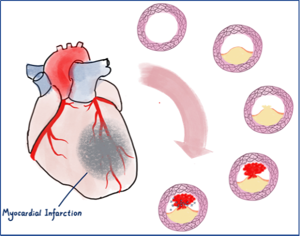 16687383261179.png 16687383261179.png