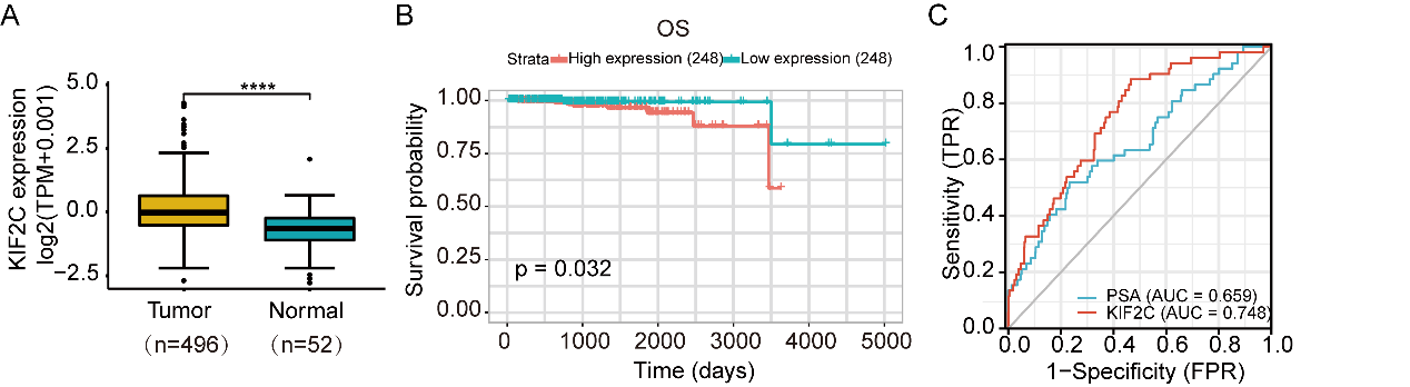 16735724756805.png 16735724756805.png