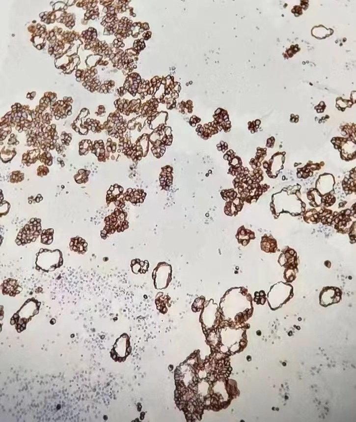 16824747734122.png 16824747734122.png