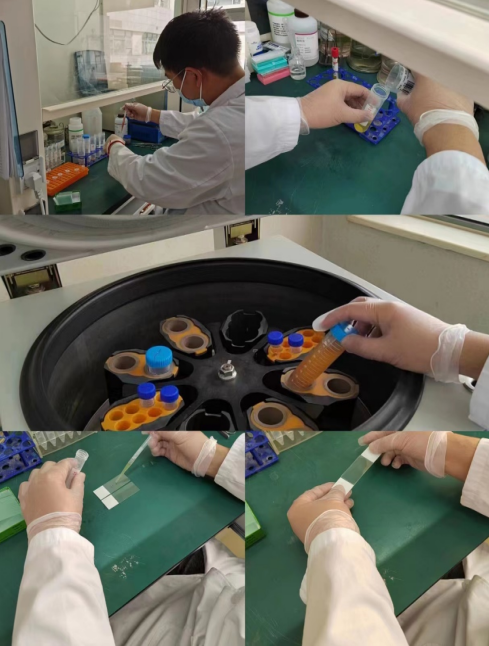 16824748009669.png 16824748009669.png