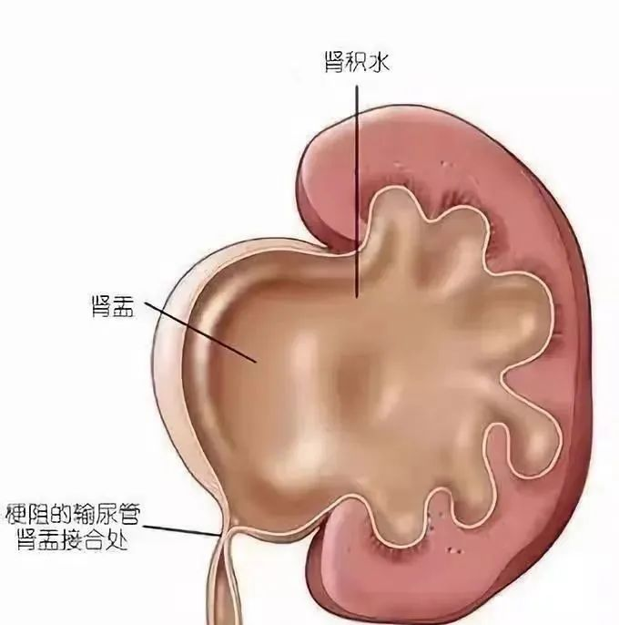 16835323872731.png 16835323872731.png