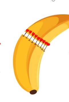 16841343341871.png 16841343341871.png