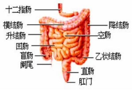 16848087114882.png 16848087114882.png