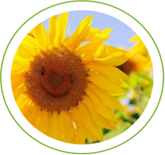 16848090004264.png 16848090004264.png