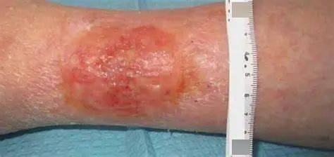 16868826696969.png 16868826696969.png