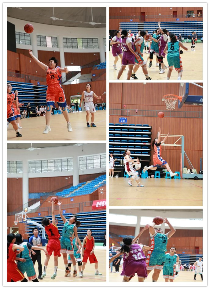 16902750753471.png 16902750753471.png