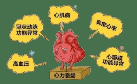 16988878841933.png 16988878841933.png