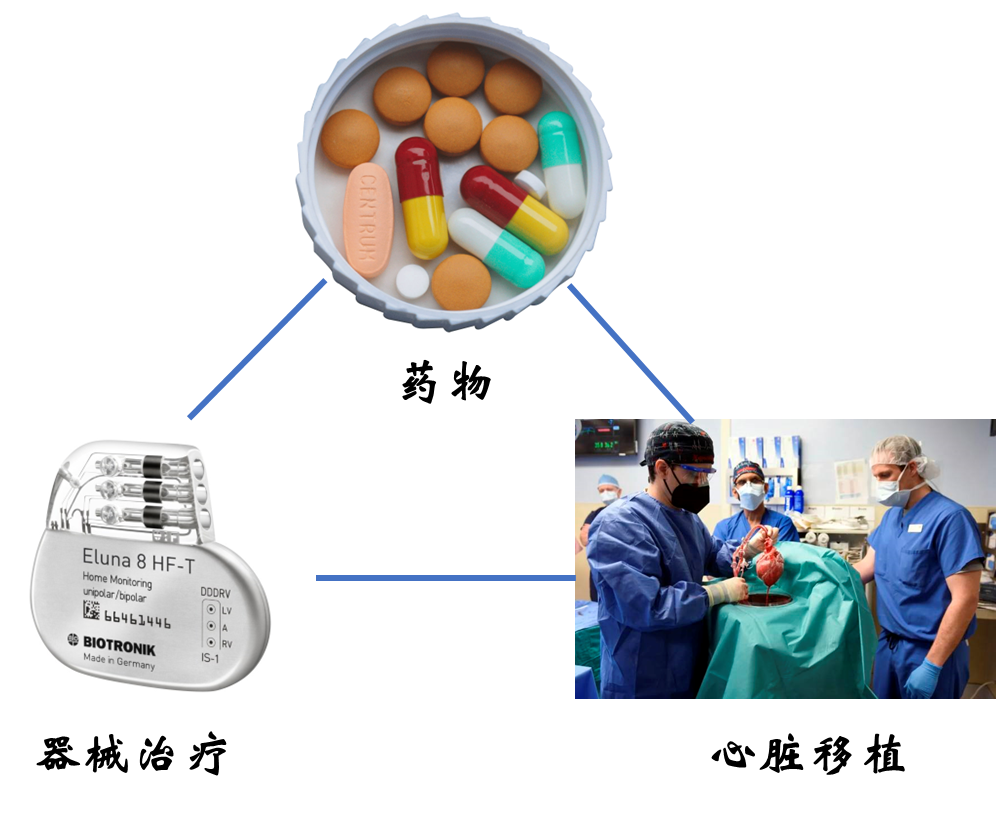 16988880104033.png 16988880104033.png