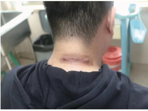 16998428675688.png 16998428675688.png