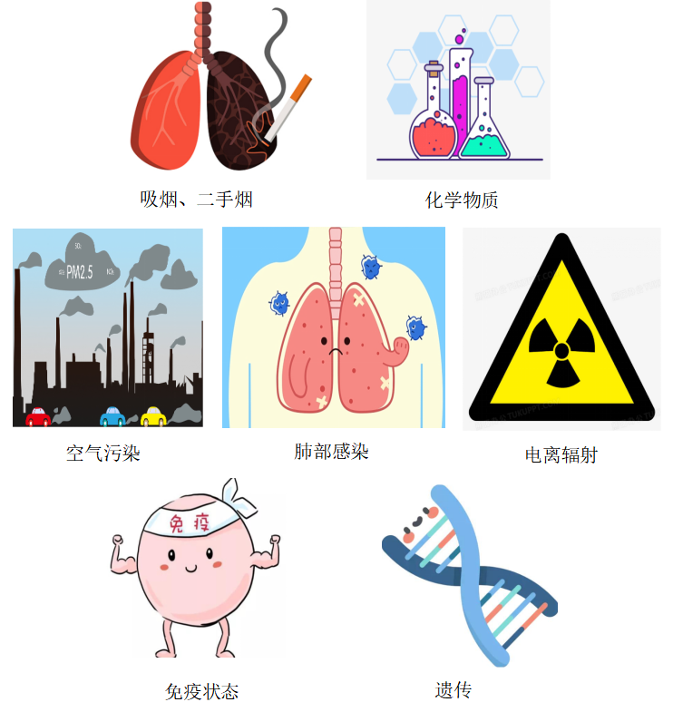 17000156689334.png 17000156689334.png