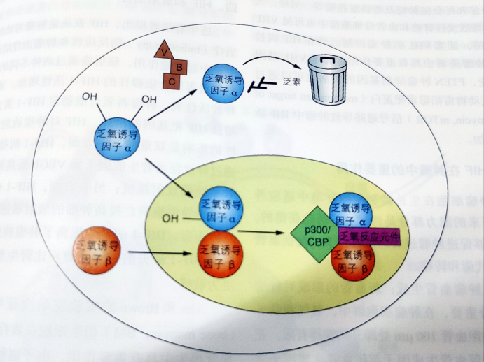 17010530297263.png 17010530297263.png