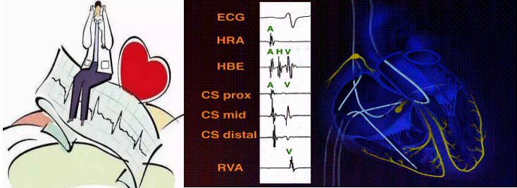 17109034718956.png 17109034718956.png