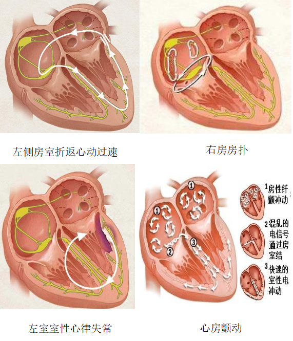 17109035714175.png 17109035714175.png