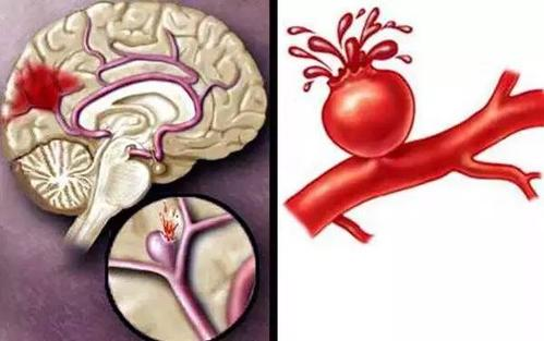 17275711485205.png 17275711485205.png