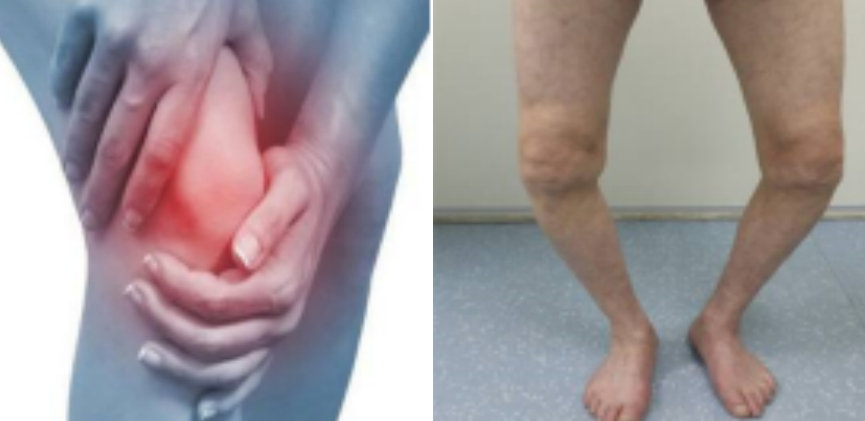 17288690977353.png 17288690977353.png