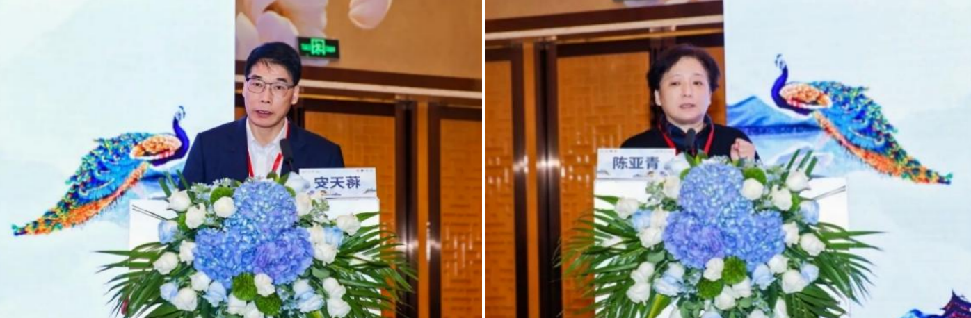 17304217806738.png 17304217806738.png