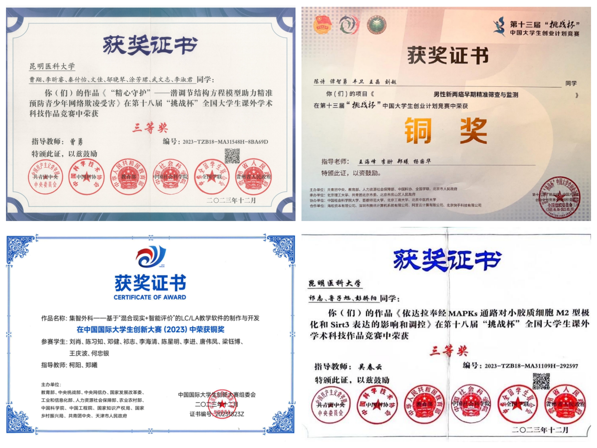 17310286281973.jpg 17310286281973.jpg