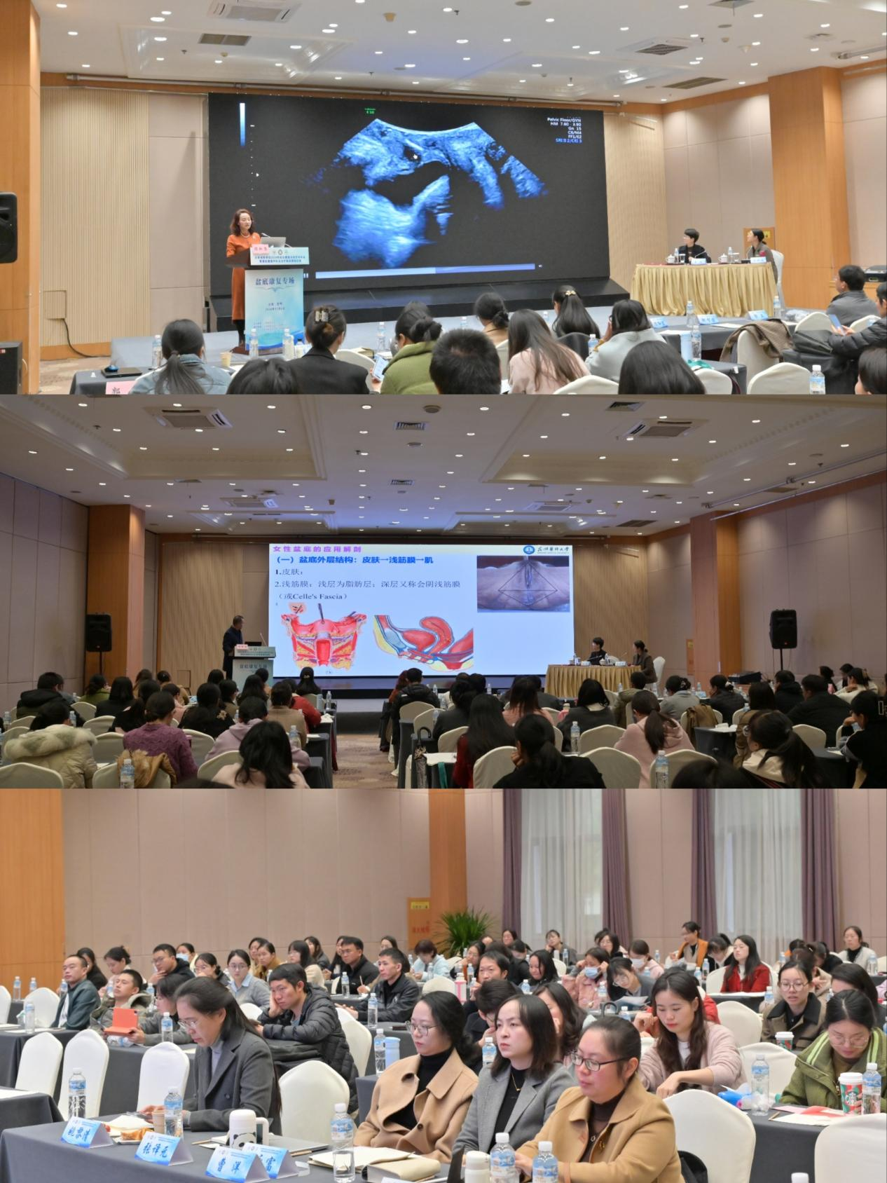 17314602308931.png 17314602308931.png