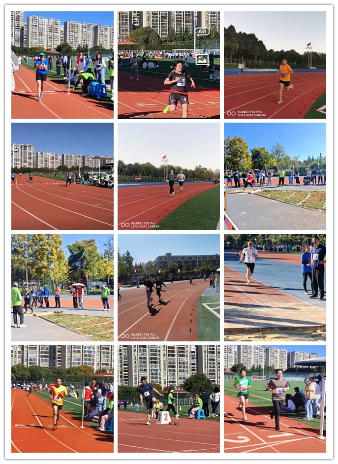 17320655826541.png 17320655826541.png