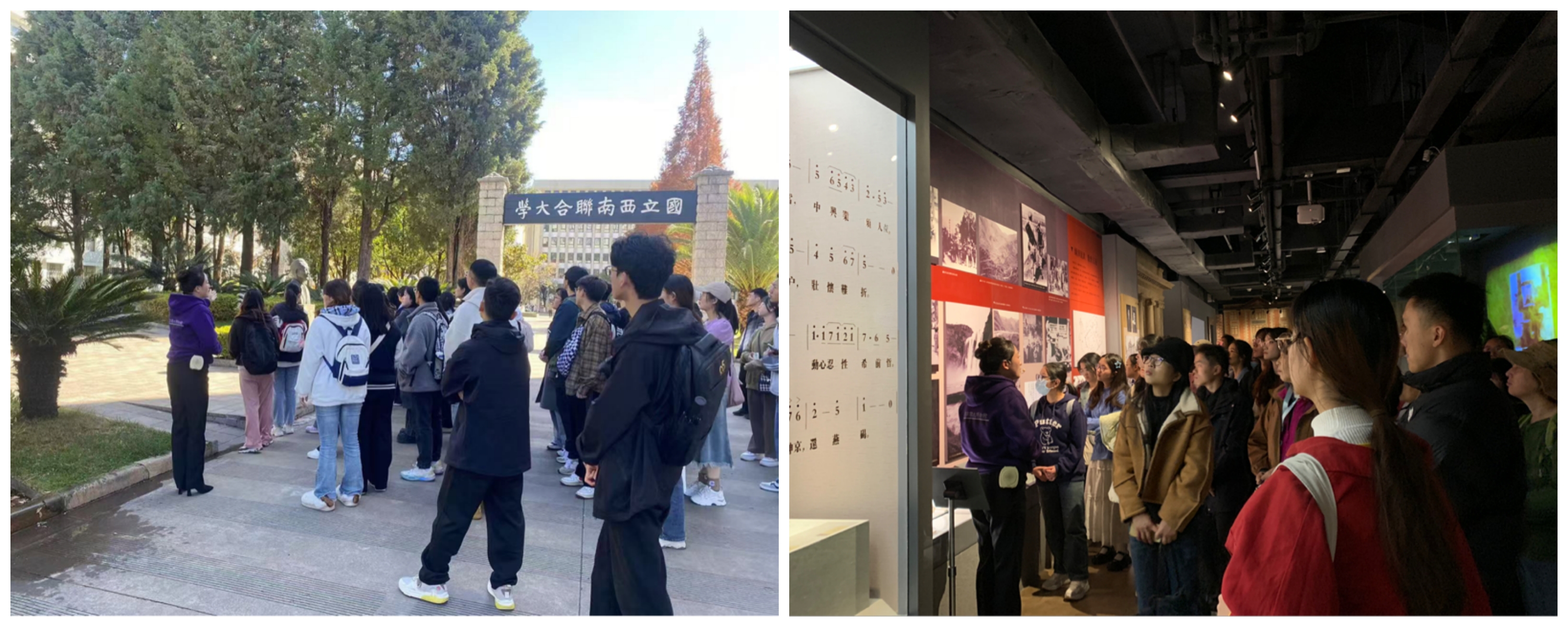 17349148933157.jpg 17349148933157.jpg