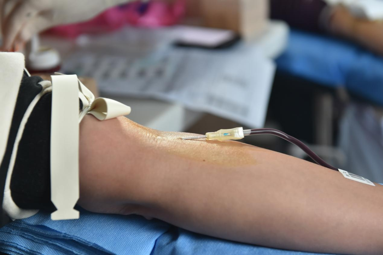 17363009755401.png 17363009755401.png