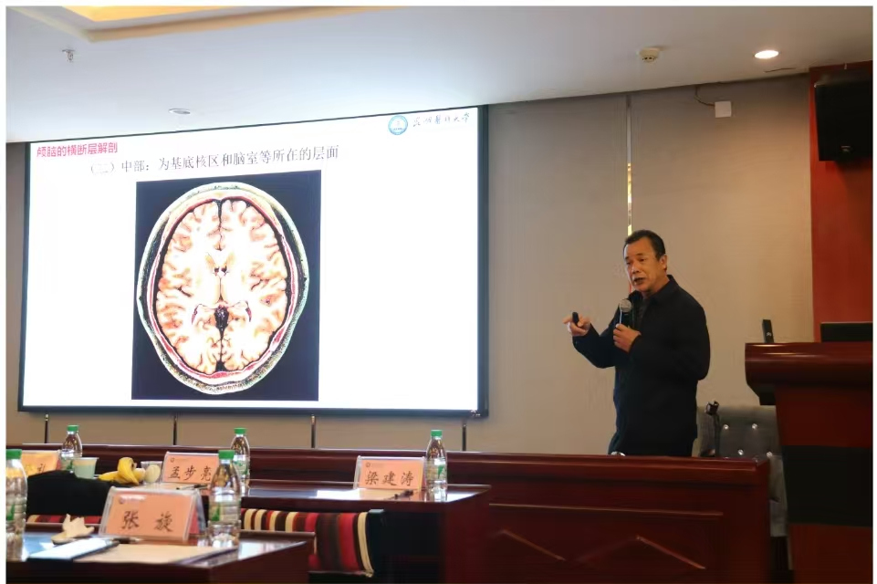 17363854176912.png 17363854176912.png