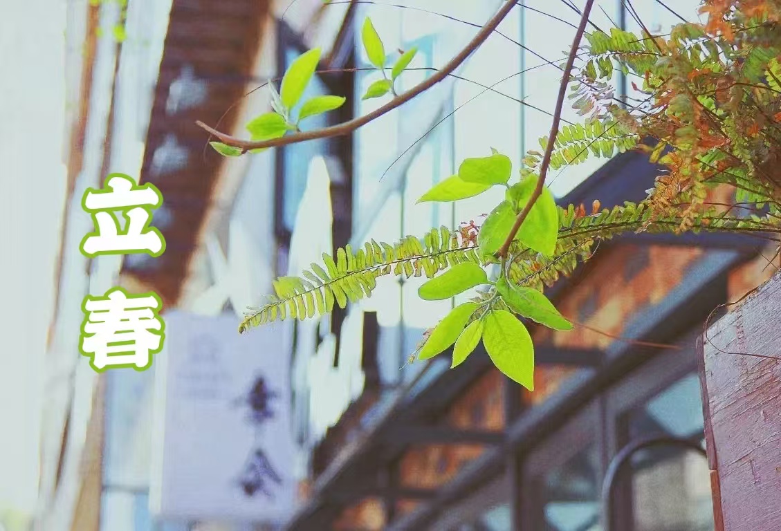 17387158334016.jpg 17387158334016.jpg