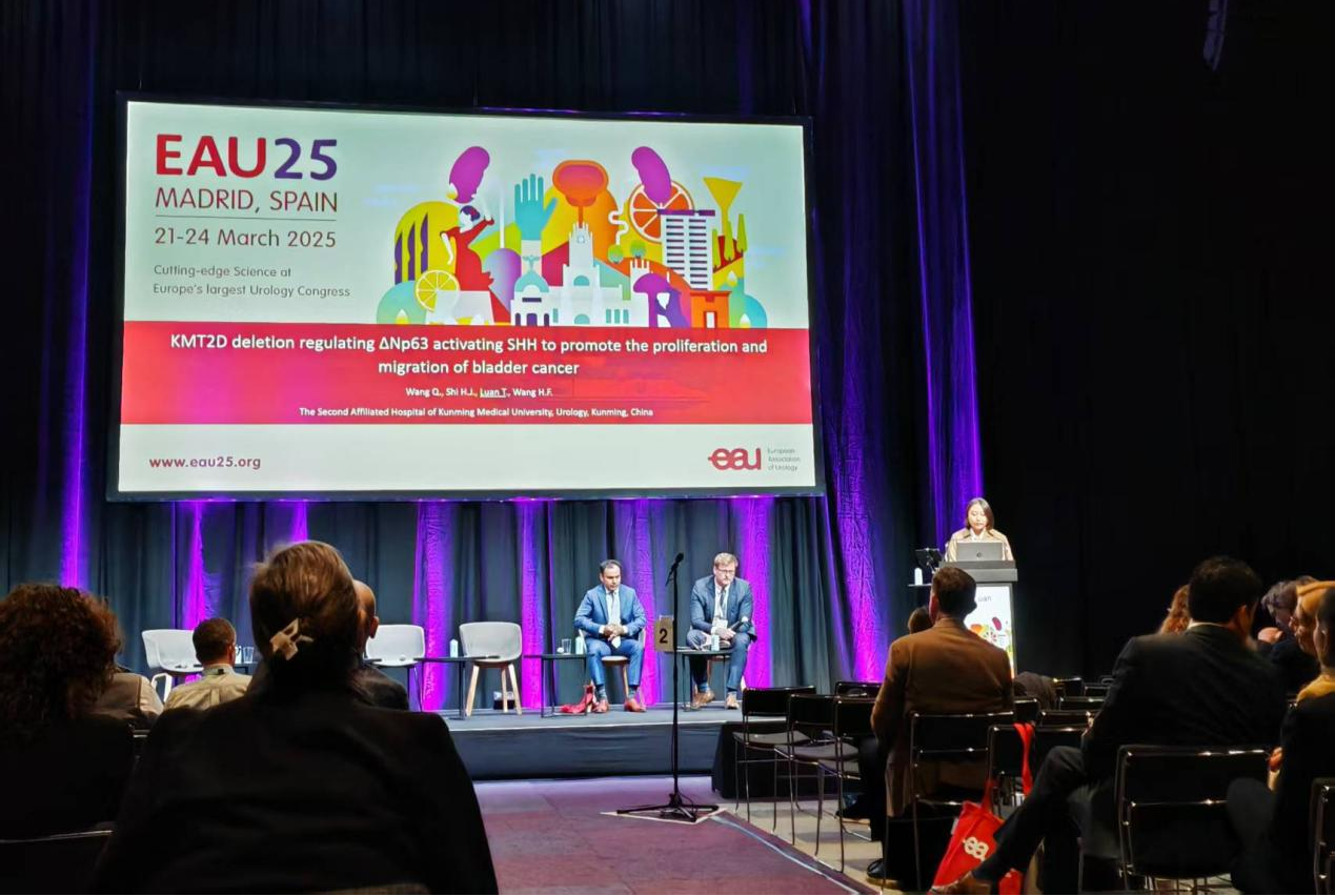 17433872763826.png 17433872763826.png