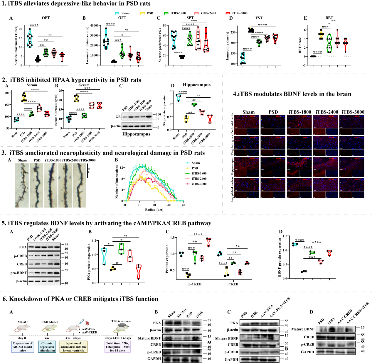 17436454958028.png 17436454958028.png