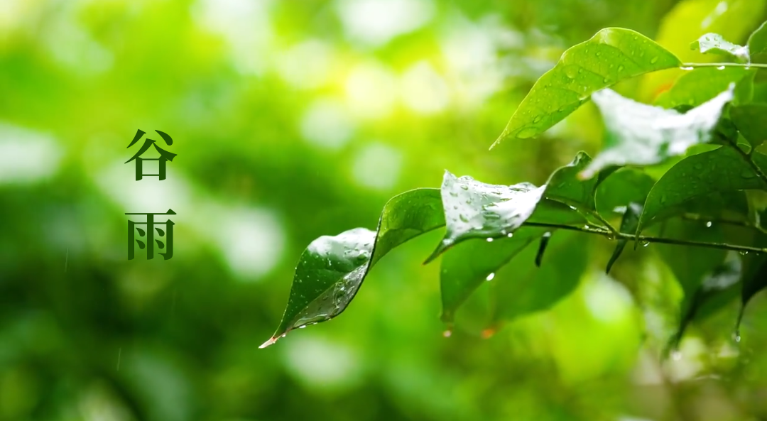 17452052627746.png 17452052627746.png