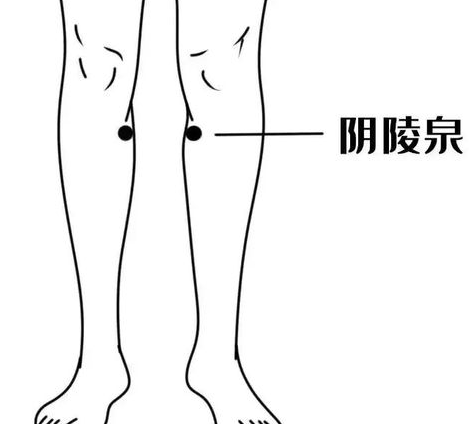 17452052964554.png 17452052964554.png