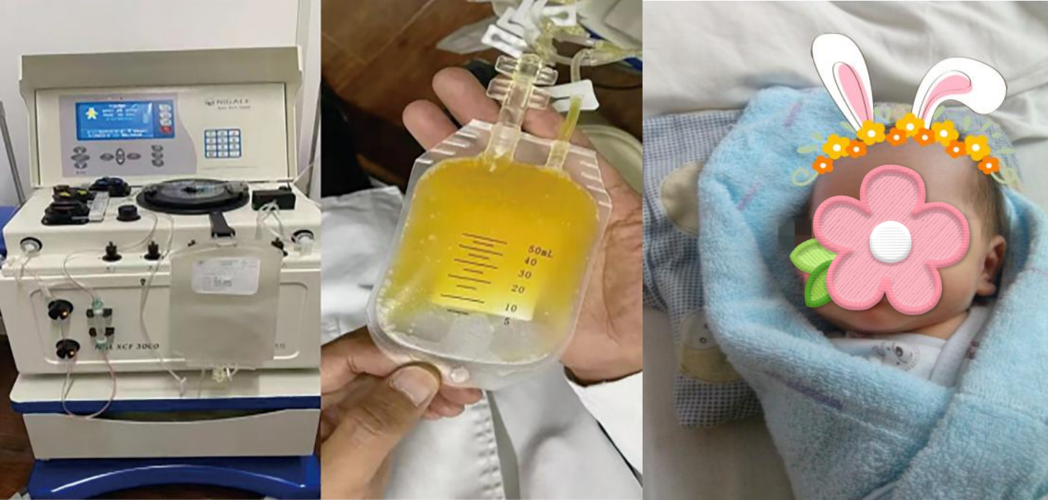 17501305578927.png 17501305578927.png