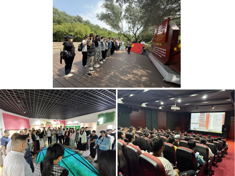 17527991459888.png 17527991459888.png