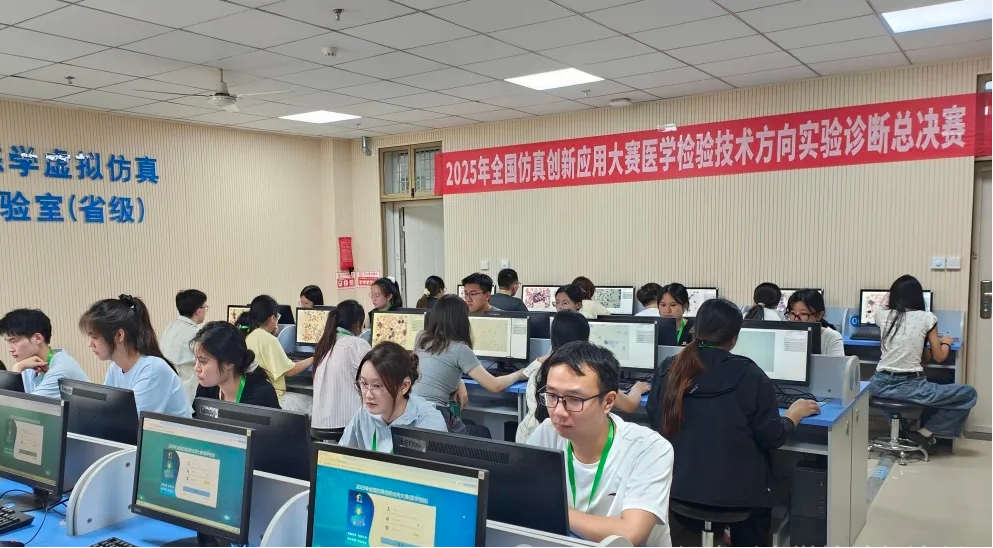 17532318786244.png 17532318786244.png