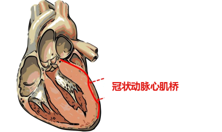 17540090659834.png 17540090659834.png