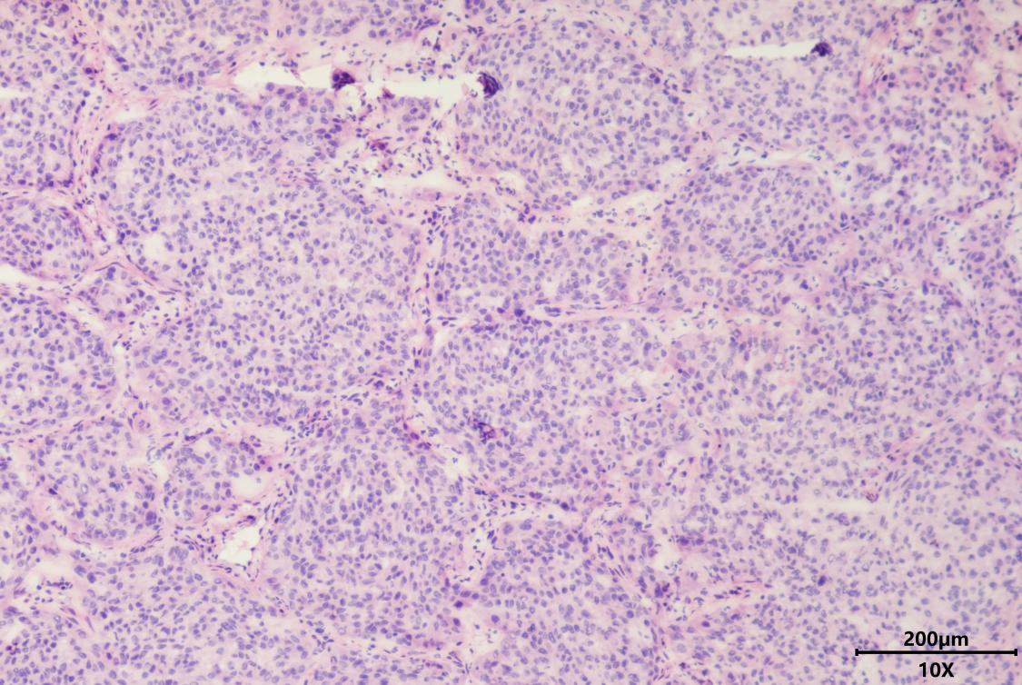 17550453578991.png 17550453578991.png