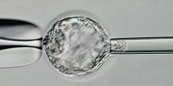 17556716567713.png 17556716567713.png