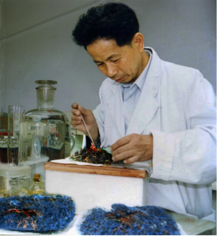 17557361099964.png 17557361099964.png