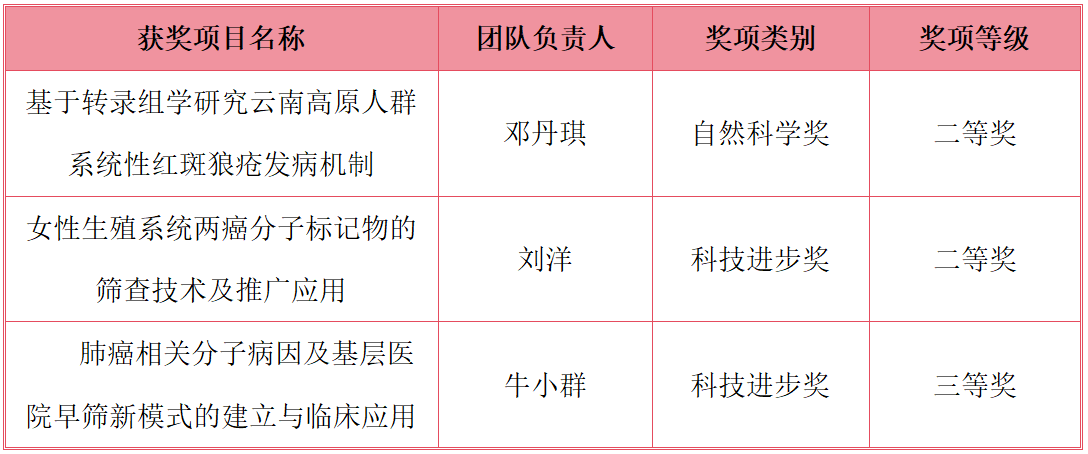 17563408176163.png 17563408176163.png