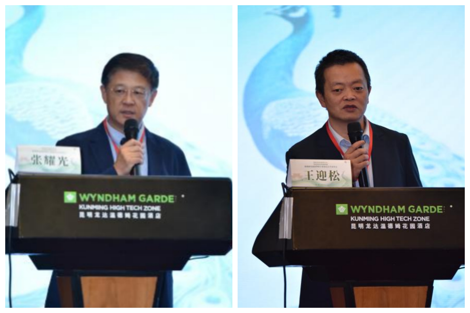 17563412581765.jpg 17563412581765.jpg