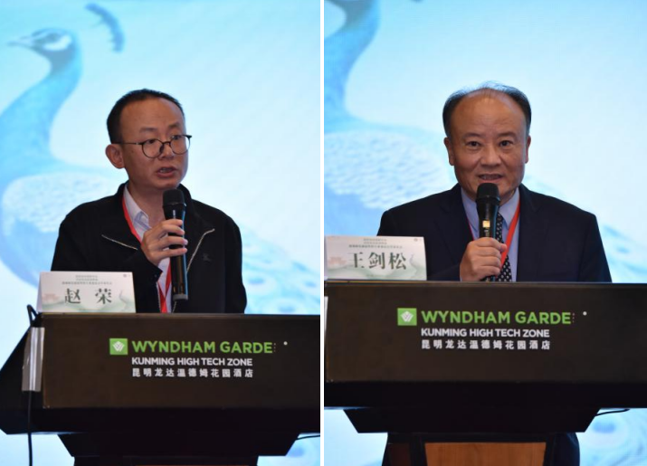 17563412778164.png 17563412778164.png