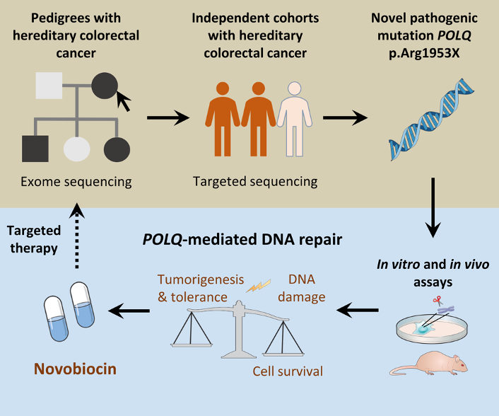 17582427078799.png 17582427078799.png