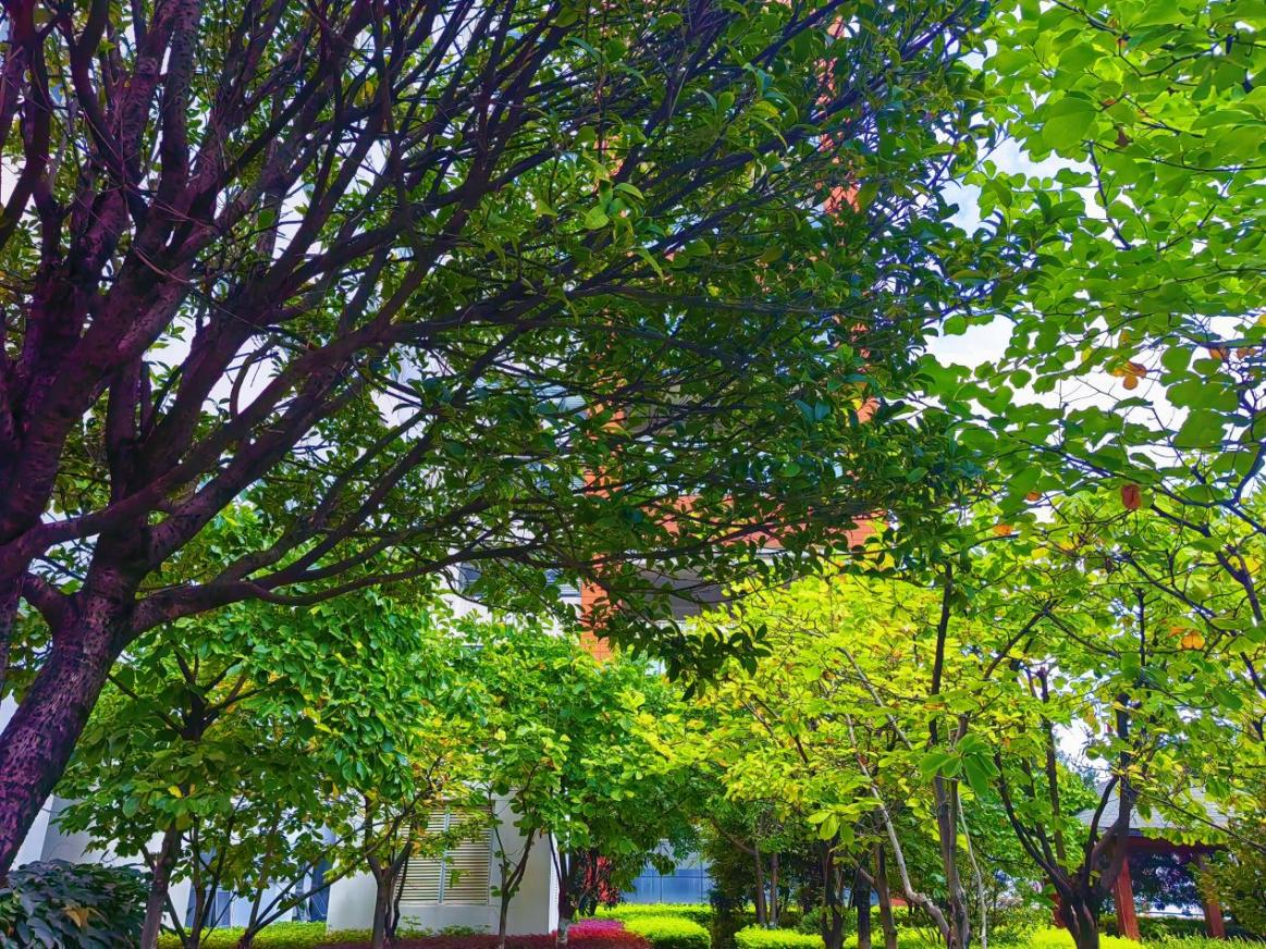 17604903651581.png 17604903651581.png